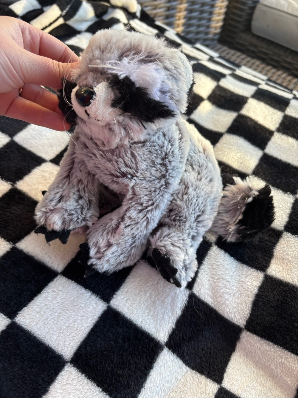 Webkinz Raccoon Plush (2007) - No Code
